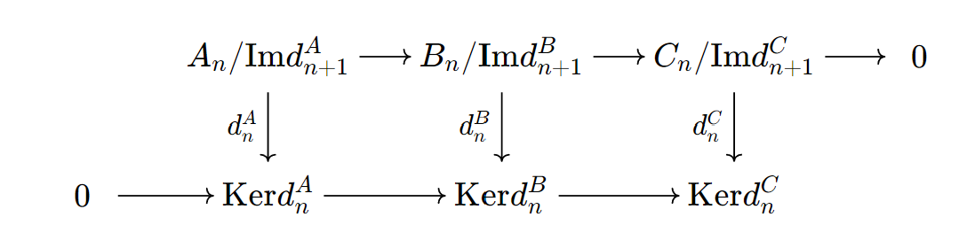 Chain Complex